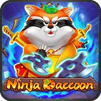 NINJA RACCOON