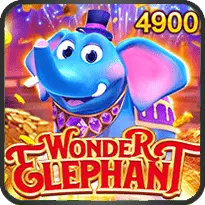 WONDER ELEPHANT