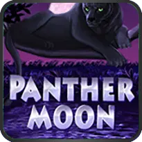 PANTHER MOON