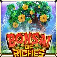 BONSAI OF RICHES