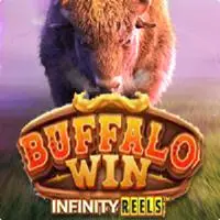 BUFFALO WIN