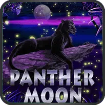 PANTHER MOON